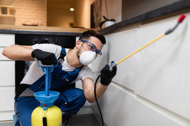 Flea Control Services in Massapequa Park, NY