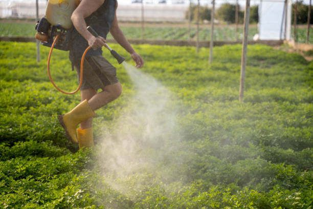 Best Local Pest Control Services  in Massapequa Park, NY