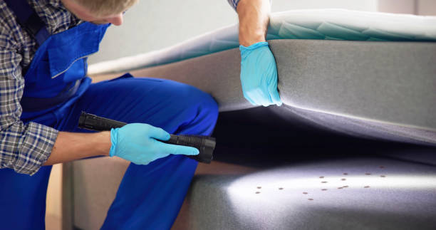 Best Bed Bug Extermination  in Massapequa Park, NY